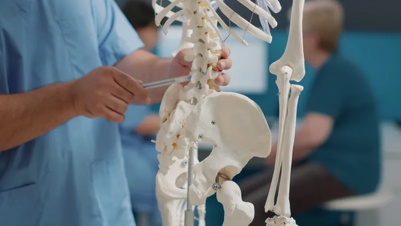 a doctor examining a pointing to a skeleton's spine as an example of a spinal cord injury